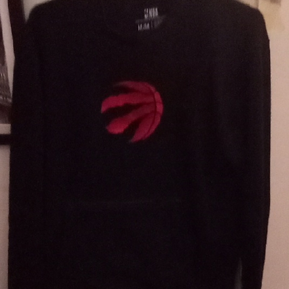 Toronto Raptors Çrewn³d - Picture 5 of 11